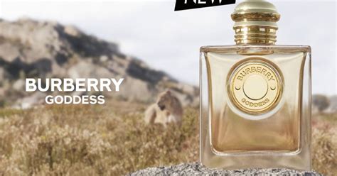 burberry fragrance sampler|burberry goddess perfume samples.